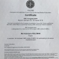 Powiększ obraz: certificate 9