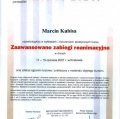 Powiększ obraz: certificate 8