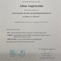 Powiększ obraz: certificate 2
