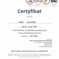 Powiększ obraz: certificate 13