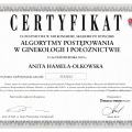 Powiększ obraz: certificate 25