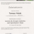 Powiększ obraz: certificate 3