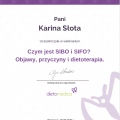 Powiększ obraz: certificate 6