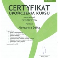 Powiększ obraz: certificate 7