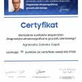 Powiększ obraz: certificate 8