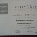 Powiększ obraz: certificate 6