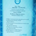 Powiększ obraz: certificate 9