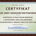 Powiększ obraz: certificate 2