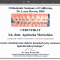 Powiększ obraz: certificate 10