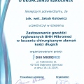 Powiększ obraz: certificate 7