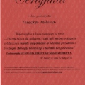 Powiększ obraz: certificate 5