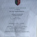 Powiększ obraz: certificate 10