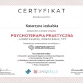 Powiększ obraz: certificate 1
