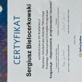 Powiększ obraz: certificate 9