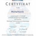 Powiększ obraz: certificate 12