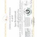 Powiększ obraz: certificate 11