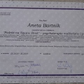 Powiększ obraz: certificate 2