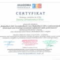 Powiększ obraz: certificate 3