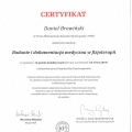 Powiększ obraz: certificate 6