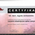 Powiększ obraz: certificate 4