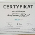 Powiększ obraz: certificate 9