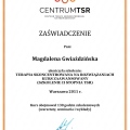 Powiększ obraz: certificate 3