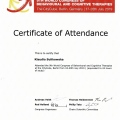 Powiększ obraz: certificate 6