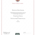Powiększ obraz: certificate 1
