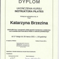 Powiększ obraz: certificate 12