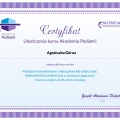 Powiększ obraz: certificate 17