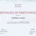 Powiększ obraz: certificate 45