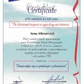 Powiększ obraz: certificate 5
