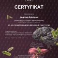 Powiększ obraz: certificate 4