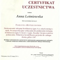 Powiększ obraz: certificate 17