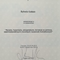 Powiększ obraz: certificate 1