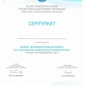 Powiększ obraz: certificate 9