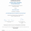 Powiększ obraz: certificate 4