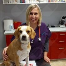 Powiększ obraz: Ilona Stepańczak-Opydo, weterynarz Jaworzno