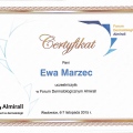 Powiększ obraz: certificate 1