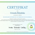 Powiększ obraz: certificate 38