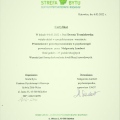 Powiększ obraz: certificate 6