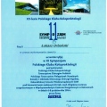 Powiększ obraz: certificate 13