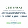 Powiększ obraz: certificate 9