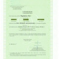 Powiększ obraz: certificate 8