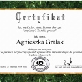 Powiększ obraz: certificate 8