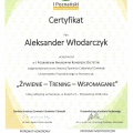 Powiększ obraz: certificate 30