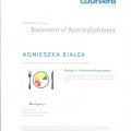 Powiększ obraz: certificate 8