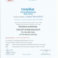 Powiększ obraz: certificate 9