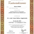 Powiększ obraz: certificate 10