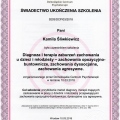 Powiększ obraz: certificate 8